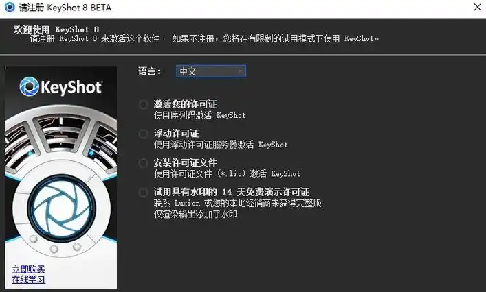 如何验证keyshot许可证是否激活成功？